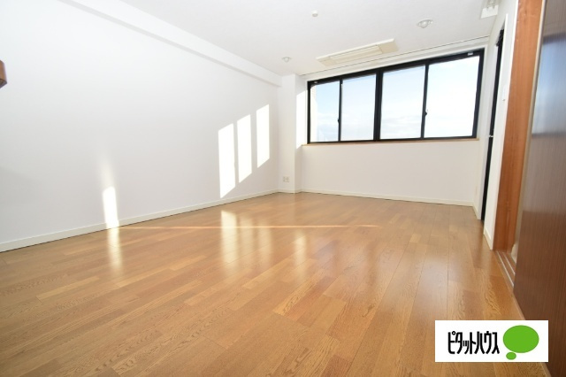 ADVANCE NAGAI Ⅱのその他