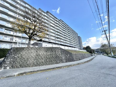 【その他】 | 泉北星和台コーポラス | 毎日のお散歩も快適な緑に恵まれたエリアで、ゆとりある住環境が整っています。