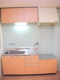 ハイツ　イーストテンの玄関|★ガスコンロ設置可★