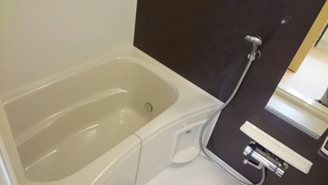 フリーデンの浴室