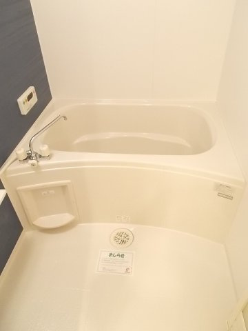 ダイアンサスの浴室