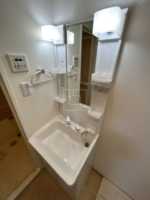 【洗面所】 | エステムコート心斎橋EASTIIIエクシード | エステムコート心斎橋EASTIIIエクシード　独立洗面化粧台