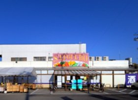 【周辺】 | レオネクスト桜