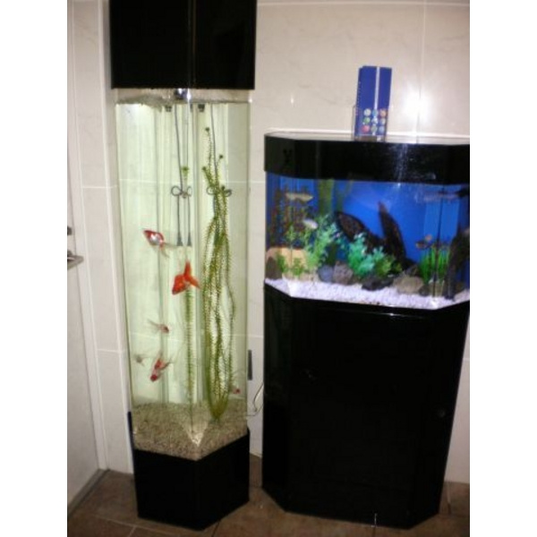 ラルジュ　マノワールのロビー