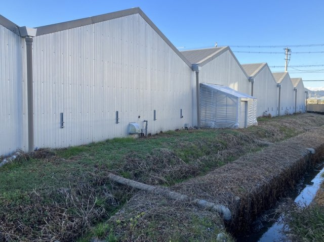 焼津市大島　売倉庫(旧キノコ栽培工場)　１５０号線近く　の外観