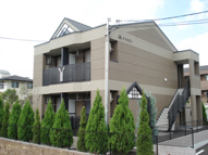 シャロンの画像