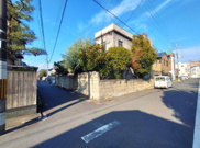 K12028-紫明の画像