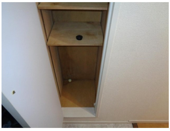 ハイネスプラザ新宿5の収納