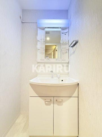 エグゼ大阪ＣＩＴＹルーエの洗面所