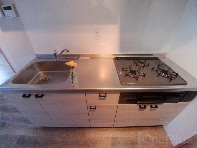 ジ・アークス王子公園(旧光青マンション)のキッチン