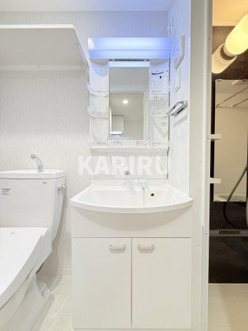 エグゼ大阪ＣＩＴＹルーエの洗面所