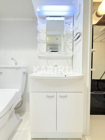 エグゼ大阪ＣＩＴＹルーエの洗面所