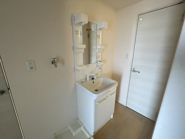 ロイヤルマンション2号棟の洗面所