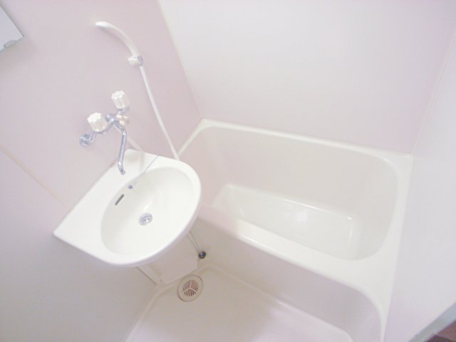 ルエメゾンロワール久留米Ⅰの洗面所|洗面所です