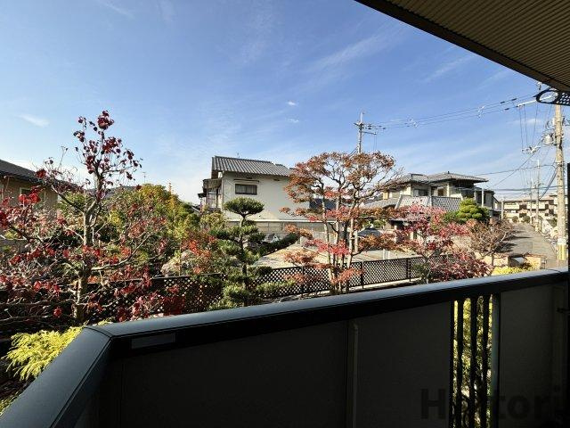 ザウバーヴィントⅡの展望