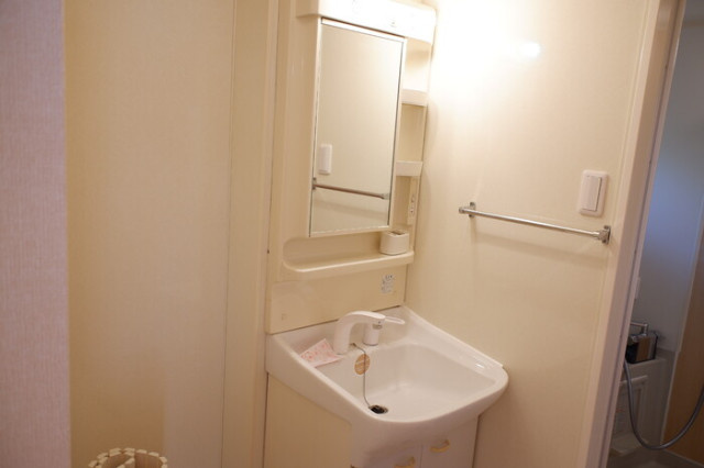 メゾン錦Ａの洗面所