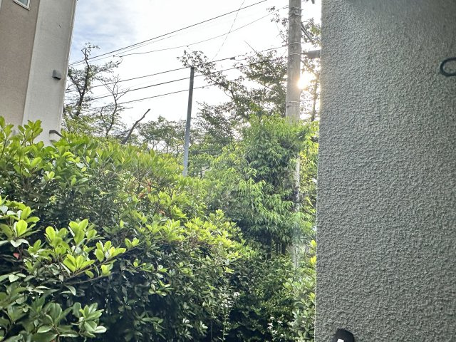 川崎市麻生区上麻生５丁目のアパートの展望|※他部屋参考写真