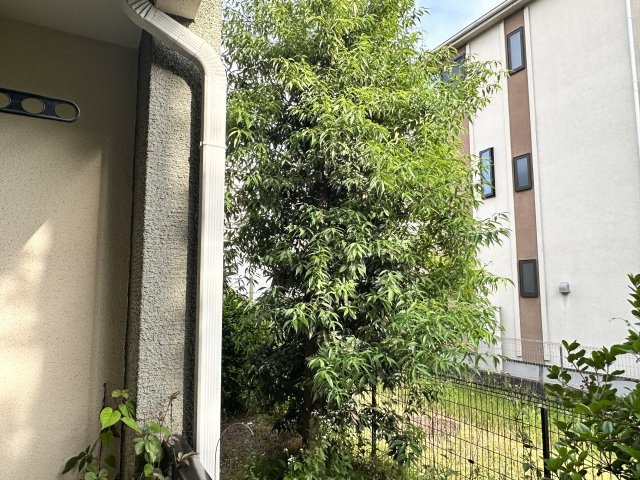 川崎市麻生区上麻生５丁目のアパートの展望|※他部屋参考写真