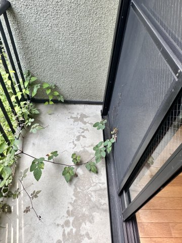 川崎市麻生区上麻生５丁目のアパートのバルコニー|※他部屋参考写真