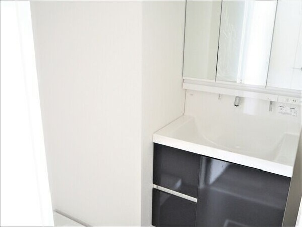 シェモア大須(旧名称:レジデンシア大須)の独立洗面台