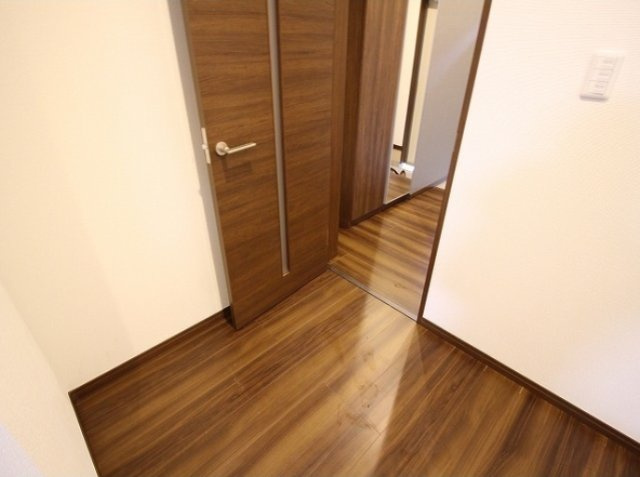 デュラカーサコブシ4のその他