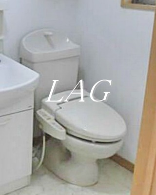 【トイレ】 | ダイワティアラ村上Ⅰ | トイレです。