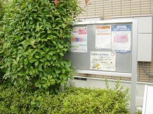 フォルツゥ－ナのその他