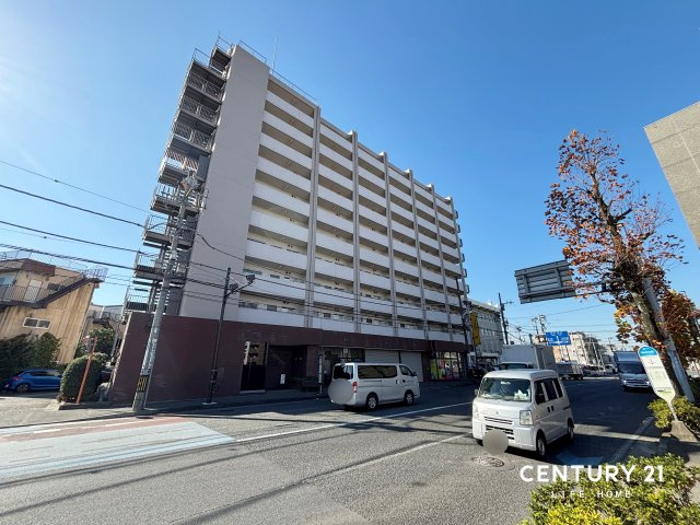 グレイス向ヶ丘遊園の画像