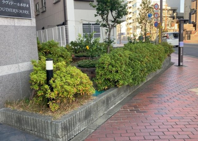 【庭】 | ラヴィドール本厚木サザンマーク | 物件によっては、入居者が個人的に使用できる専用庭がついているものもあります。また、住宅の中にある土間の部分を庭と呼ぶこともあります。庭の用途は住む人によって変わり、それによってデザインもさまざまです。