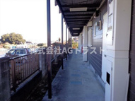 エメラルド紺屋ＡＢの画像