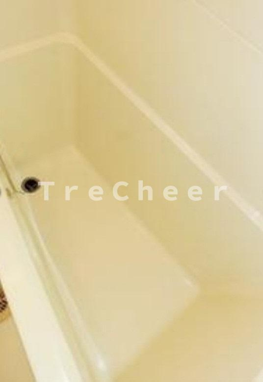 コーポ橋本の浴室