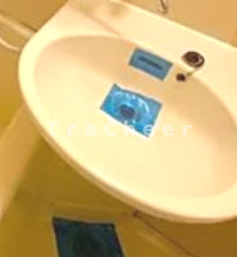 常盤ハイツの洗面所