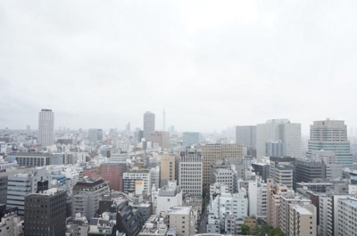 【展望】 | Brillia THE TOWER TOKYO YAESU AVENUE