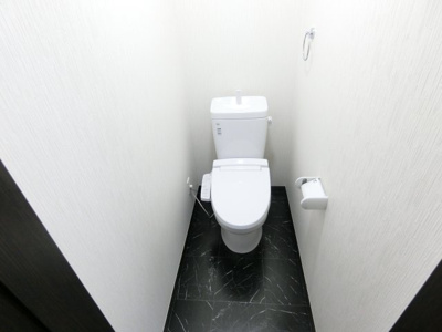 【展望】 | 菊菜