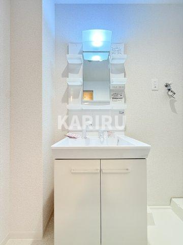 アルカンシェルコート緑橋の洗面所