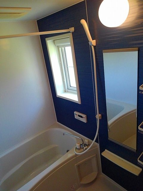 サイドルーツ　Ⅱ　　刈谷市近郊の賃貸ならクラスホーム刈谷店の浴室