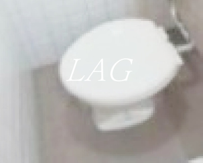 【トイレ】 | ＬＯＵＩＳ | トイレです。