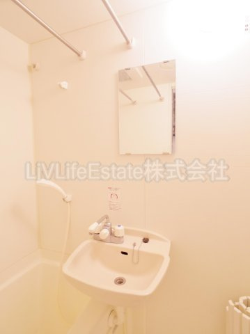 Ｓ・Ｔハイツの洗面所