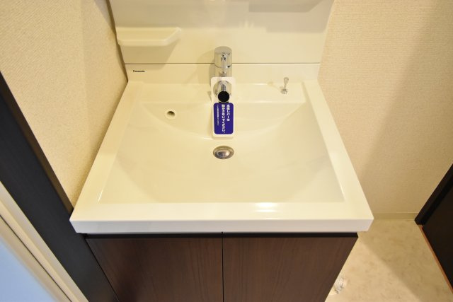 フジパレス山之内の洗面所