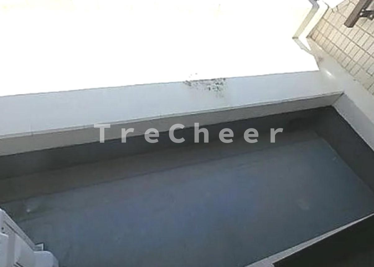 日神パレステージ志村坂下のバルコニー