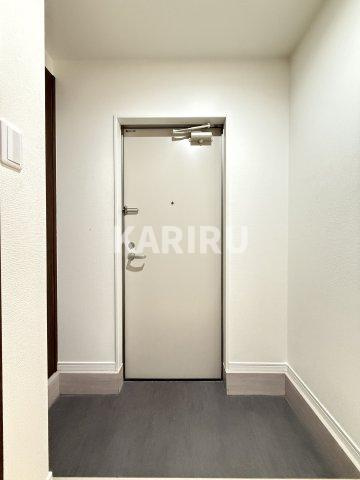 Ｈ－ｍａｉｓｏｎ平野ＩＩＩの玄関