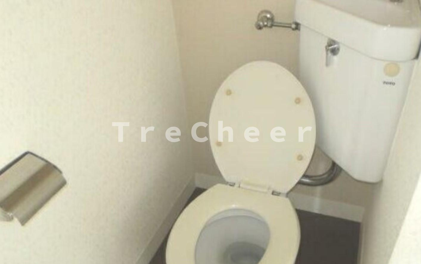 マルトミビルのトイレ