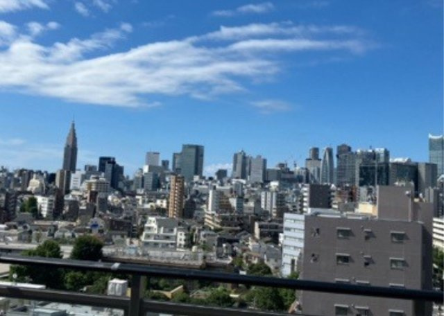 パークホームズ新宿若松町の展望