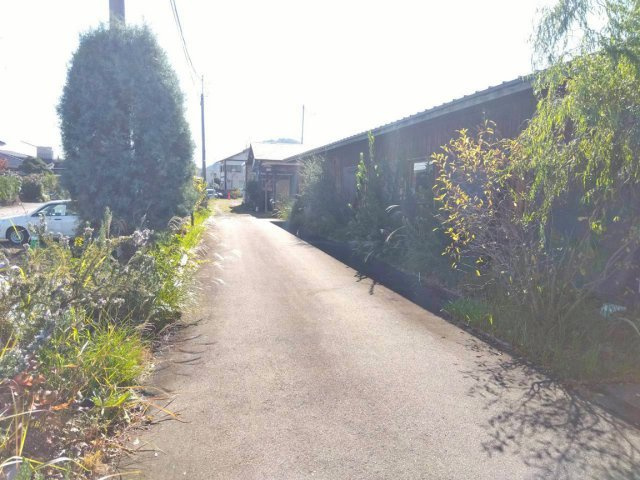 【その他】 | 三島市御園 売店舗 ES05976 | 三島市御園　前面道路