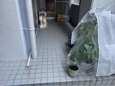 【その他】 | プリオーレ夙川さくら道