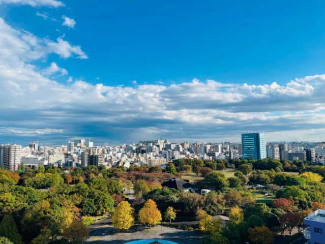 アデニウムコート木場公園　15階　最　上階　空室の展望|木場公園