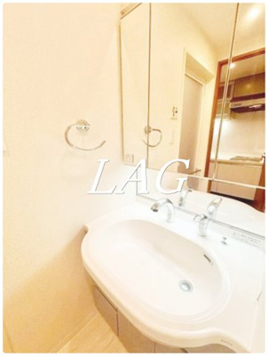 【洗面所】 | 日神デュオステージ池上 | 独立洗面台です。