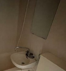 スプリングハイツⅡの洗面所