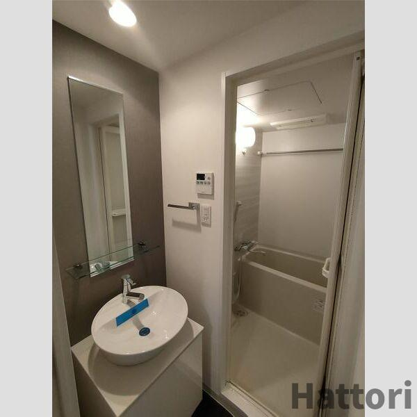 S-RESIDENCE難波Brillerの洗面所