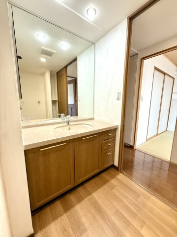 メゾン御影西平野の洗面所